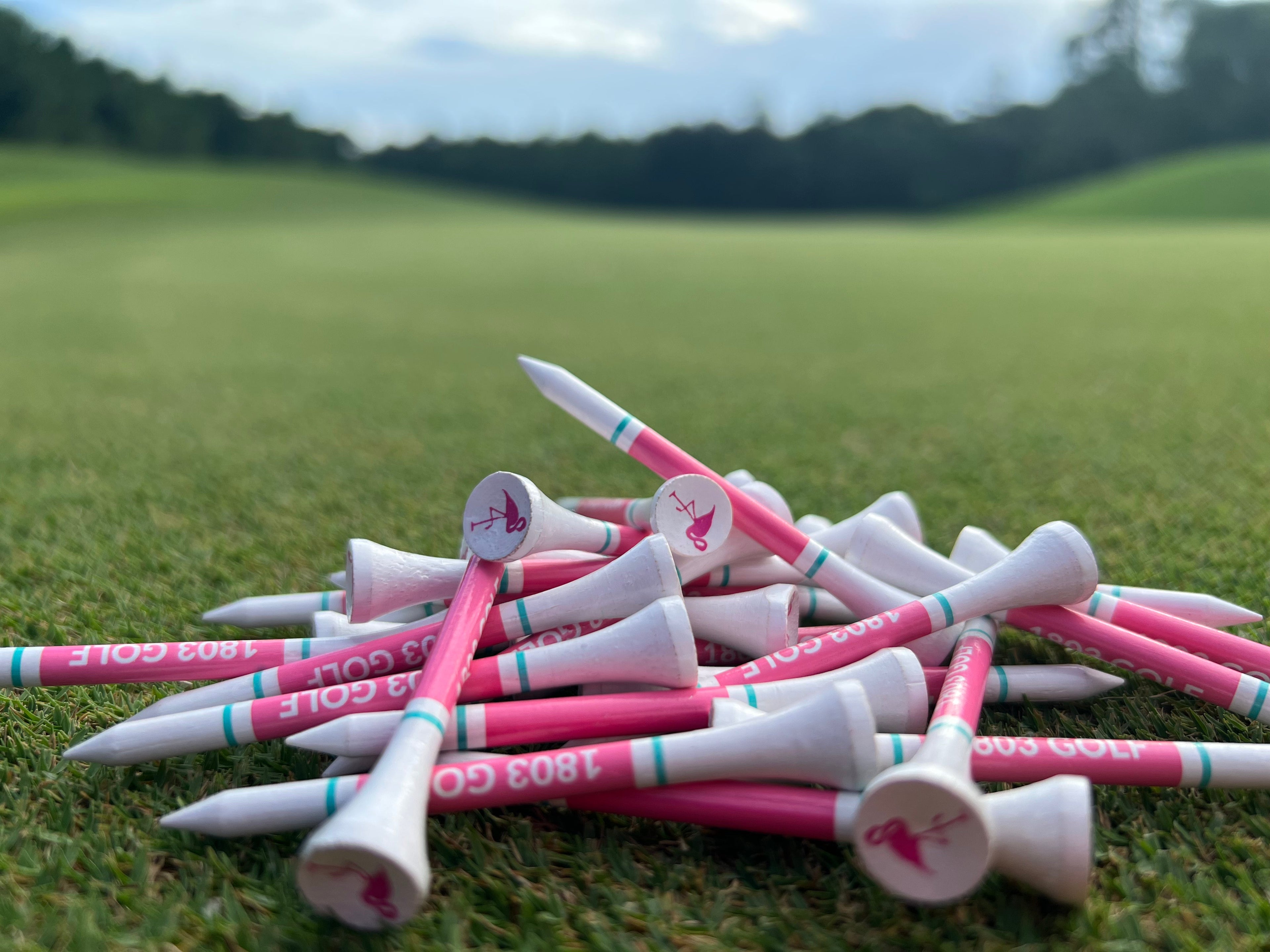 Flamingo Golf Tees